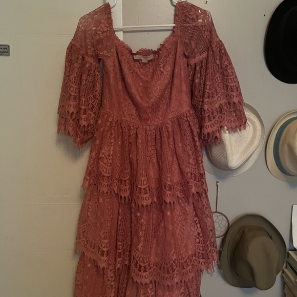 Anthropologie Champagne & Strawberries Lace Corset Vintage style Dress - Picture 4 of 9